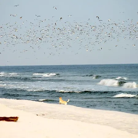 White Pearl 2.11 아파트 *